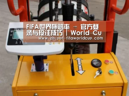 世界杯投注案例展示三(图1)