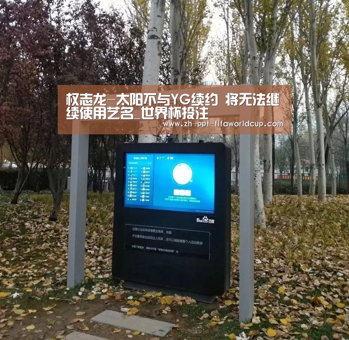 世界杯投注