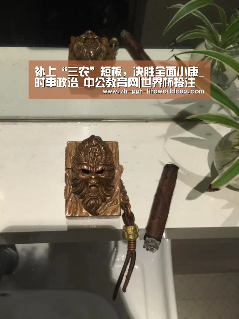 补上“三农”短板,决胜全面小康_时事政治_中公教育网|世界杯投注(图2) 世界杯投注
