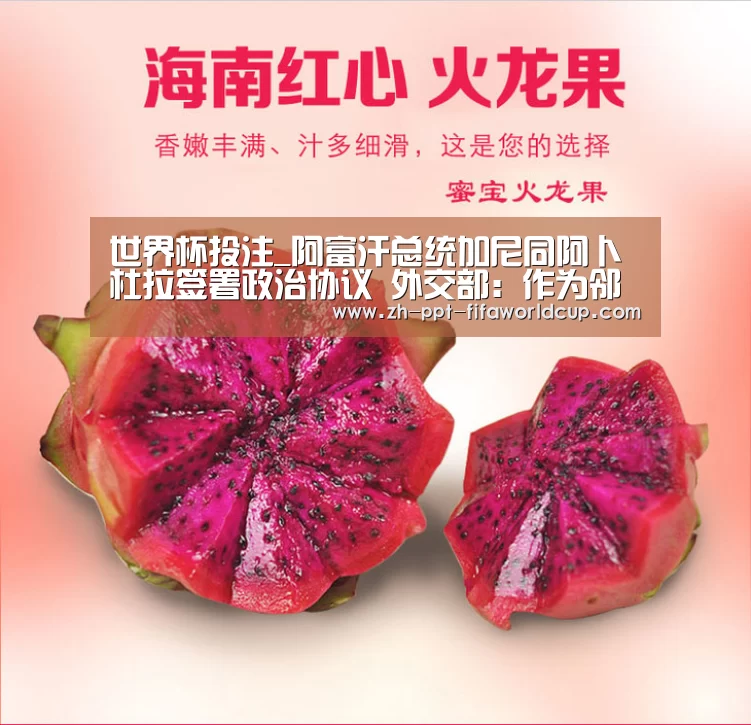 世界杯投注_阿富汗总统加尼同阿卜杜拉签署政治协议 外交部:作为邻居和朋友,表示祝贺(图1) 世界杯投注