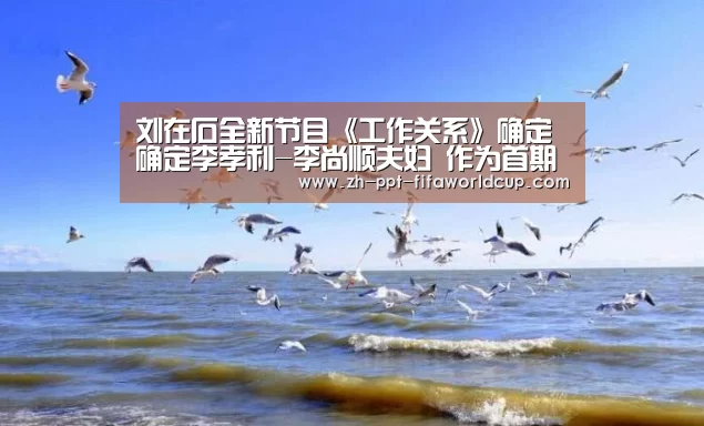 刘在石全新节目《工作关系》确定确定李孝利-李尚顺夫妇 作为首期嘉宾|世界杯投注(图2) 世界杯投注
