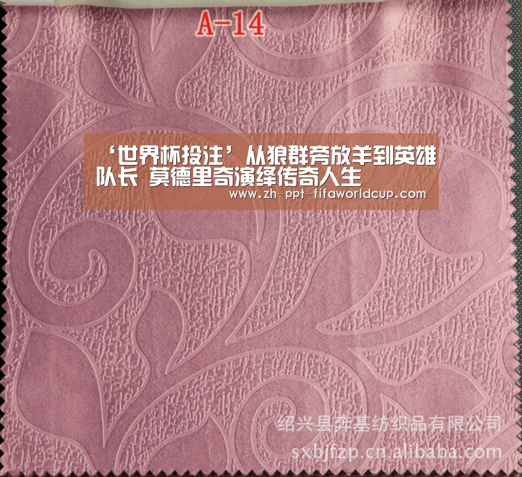 ‘世界杯投注’从狼群旁放羊到英雄队长 莫德里奇演绎传奇人生(图1) 世界杯投注