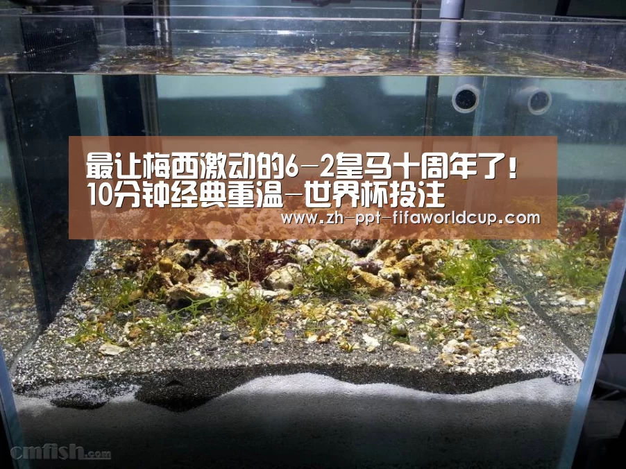 最让梅西激动的6-2皇马十周年了!10分钟经典重温-世界杯投注(图1) 世界杯投注